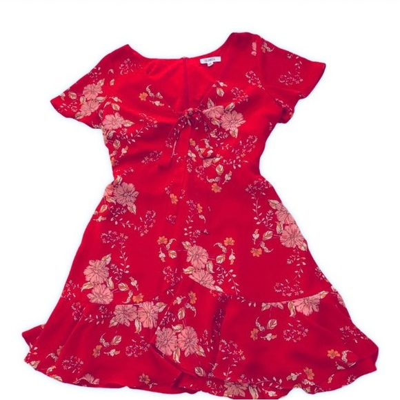 BB Dakota Love Back Atcha Dress Sz 4 - Picture 2 of 9